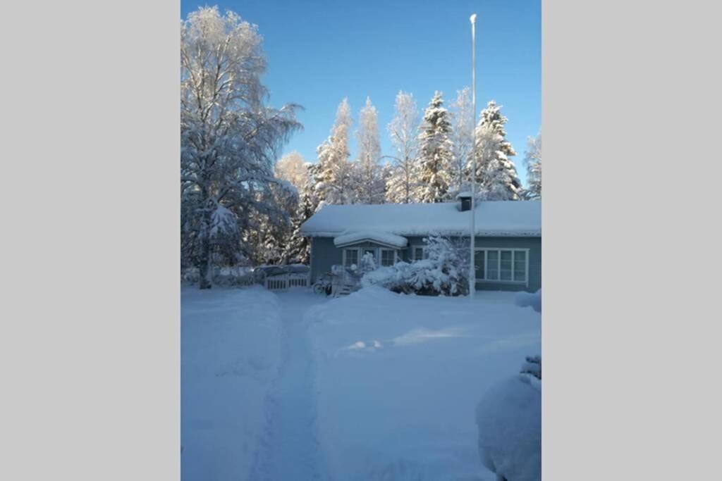 Arctic Circle Tranquillity Villa Rovaniemi Dış mekan fotoğraf